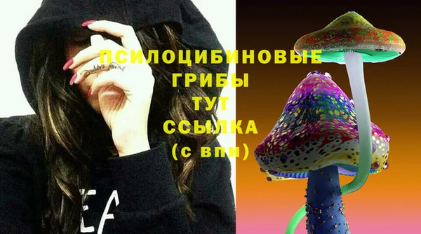 герыч Бронницы