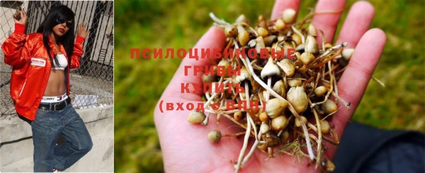 тгк Бугульма
