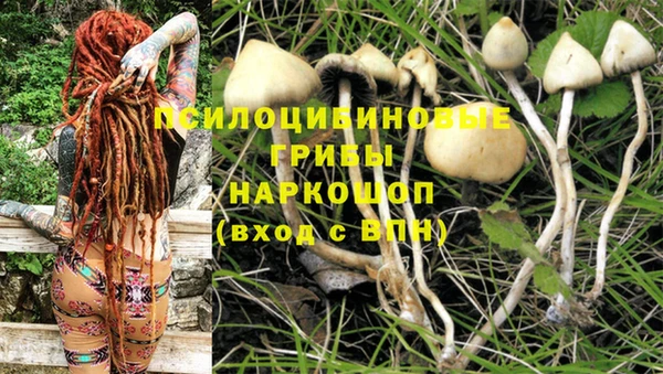 2c-b Верхний Тагил
